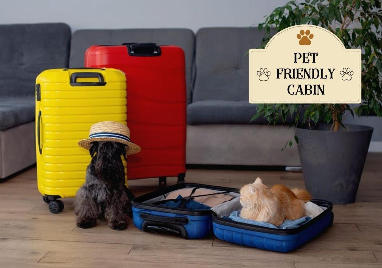 סביירוויל Fabulous Pet-Friendly, Family Cabin With Outdoor Kitchen, Hot Tub, Sauna, Fireplace, Theater Room, Arcade, Pool Table, And Fire Pit Within Minuties Of Dollywood מראה חיצוני תמונה